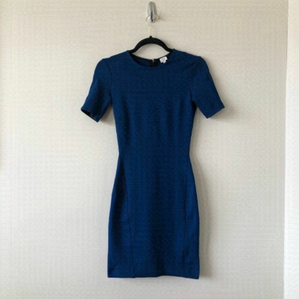 Aritiza "Wilfred" Mignonne Estate Blue Bodycon Mini Dress